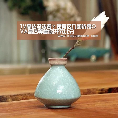 TV高达没法看?还有这几部优秀OVA高达等着你|开元比分(图3) 开元首页