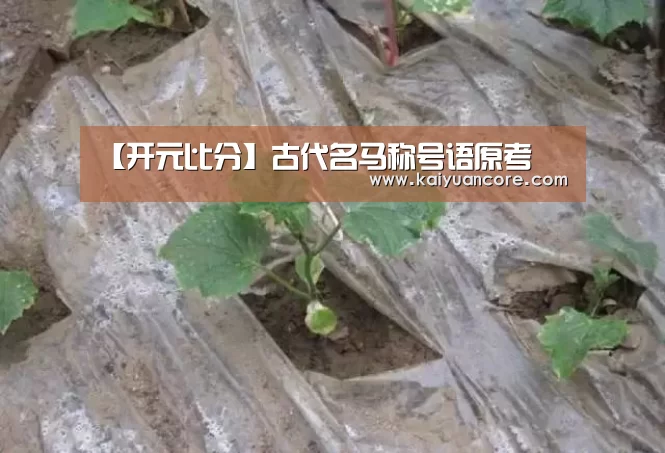 【开元比分】古代名马称号语原考(图1) 开元网站