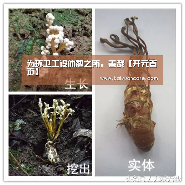 开元比分