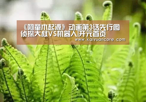 开元首页