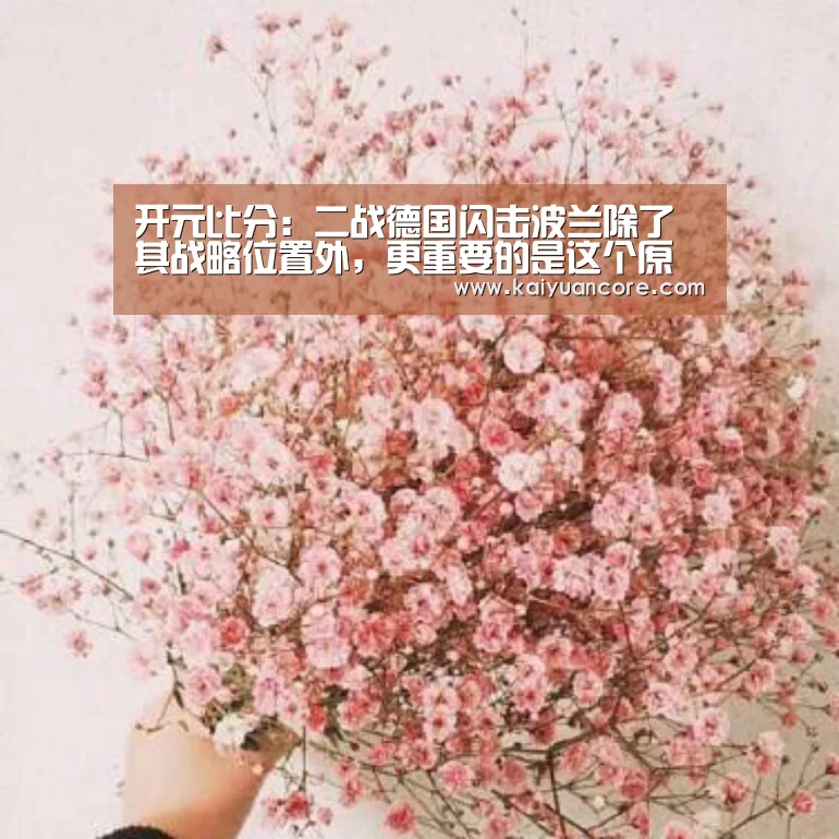 开元比分:二战德国闪击波兰除了其战略位置外,更重要的是这个原因(图1) 开元首页